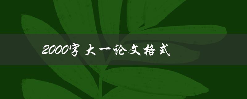 2000字大一论文格式(应该如何排版和编辑)