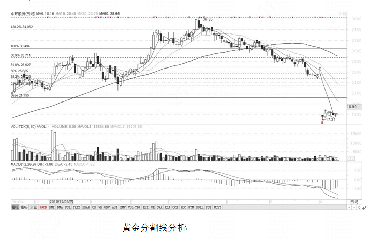 黄金分割线