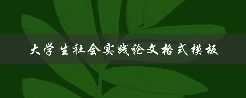 大学生社会实践论文格式模板