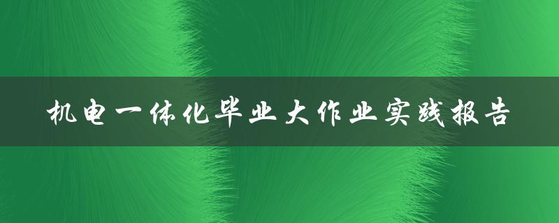 机电一体化毕业大作业实践报告