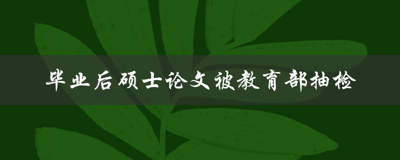 你的硕士论文是否被教育部抽检？毕业后的检验结果如何