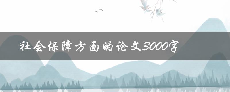 社会保障方面的论文3000字