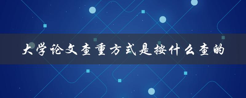 大学论文查重方式是按什么查的