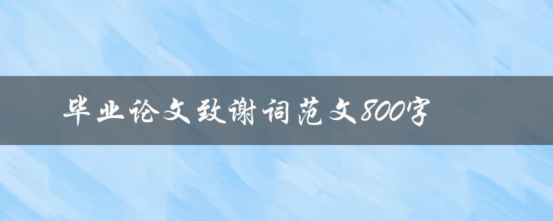 毕业论文致谢词范文800字