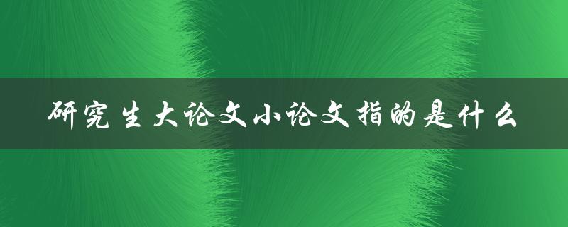 研究生大论文小论文指的是什么